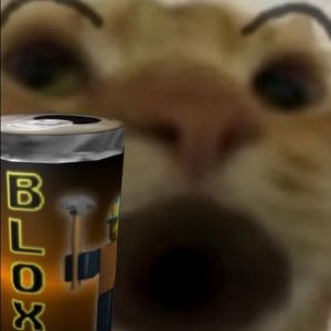 Meet your Posher, Isabella